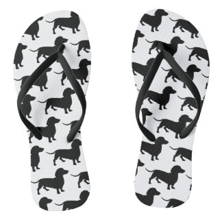 Dackel drehen Reinfälle um Flip Flops