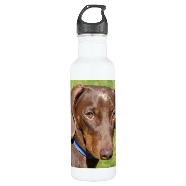 Dackel Edelstahlflasche (Vorderseite)