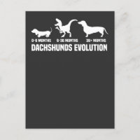 Dackel Evolutionen