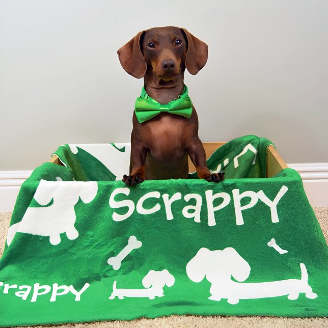 Dackel Fleece Blanket Green Personalisiert (Personalized dachshund blanket)