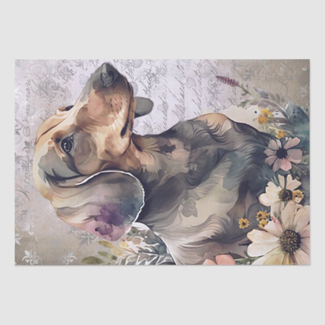 Dackel Floral Dog Seidenpapier (Vorderseite)