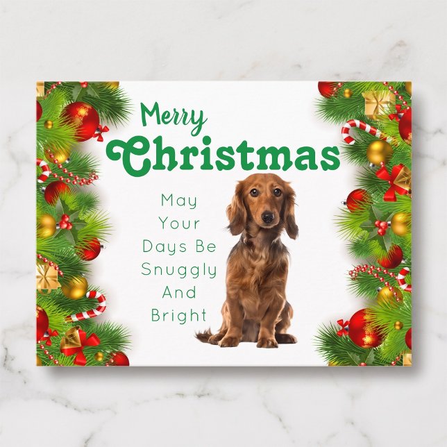 Dackel Frohe Weihnachtskarte Feiertagspostkarte (A Dachshund Christmas celebration.)