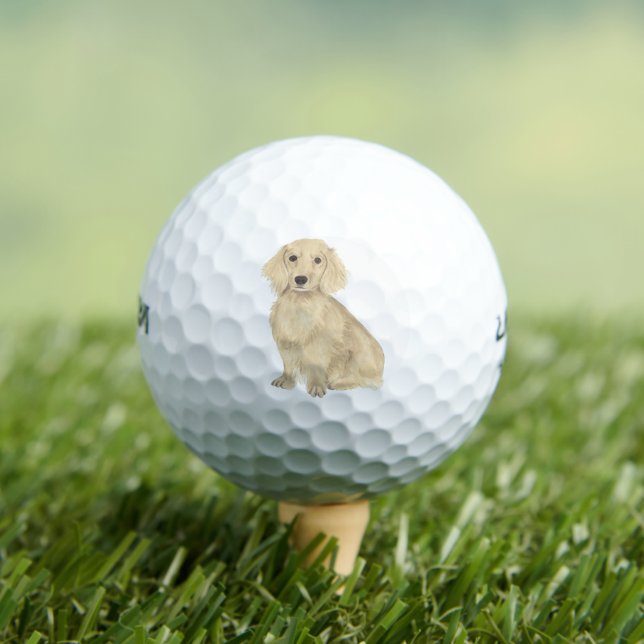 Dackel für lange Haare Golfball (Insitu T-Shirt)