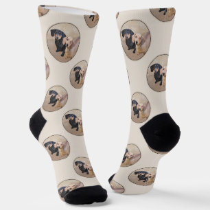 Dackel Gemälde sanfte Schwarz & Tan Roter Hund Kun Socken