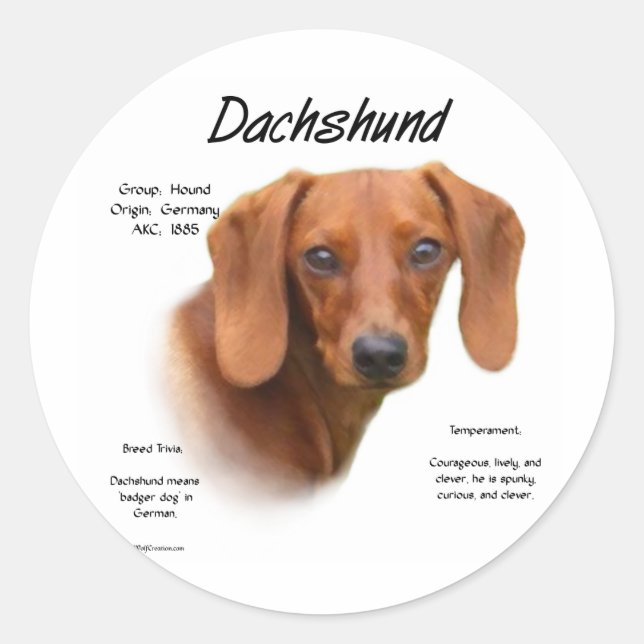 Dackel (glatt) Historiendesign Runder Aufkleber (Vorderseite)