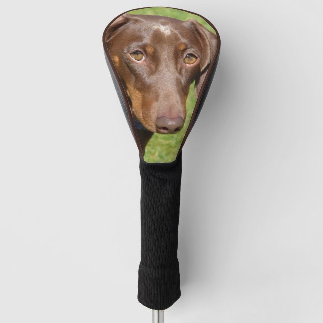 Dackel Golf Headcover (Vorderseite)