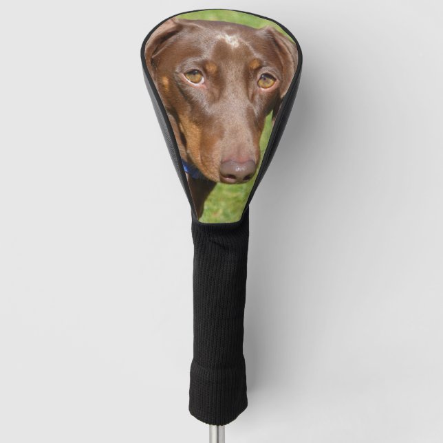 Dackel Golf Headcover (Vorderseite)