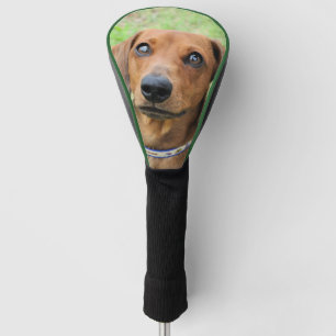 Dackel Golf Headcover