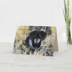 Dackel Grußkarte Karte