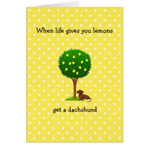 Dackel Grußkarte, wenn das Leben dir Löwen gibt