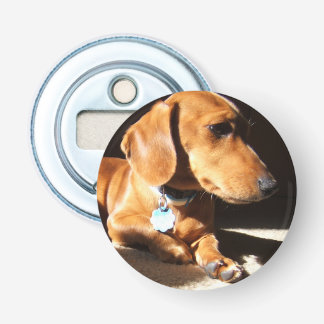 Dackel-Haustier-Hund Flaschenöffner