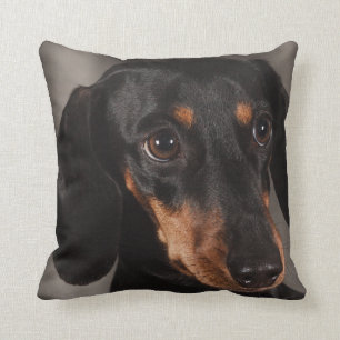 Dackel-Haustier-Hundethrow-Kissen-Wohngestaltung Kissen
