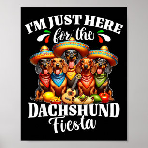 Dackel hier für Cinco de Mayo Dackel Poster