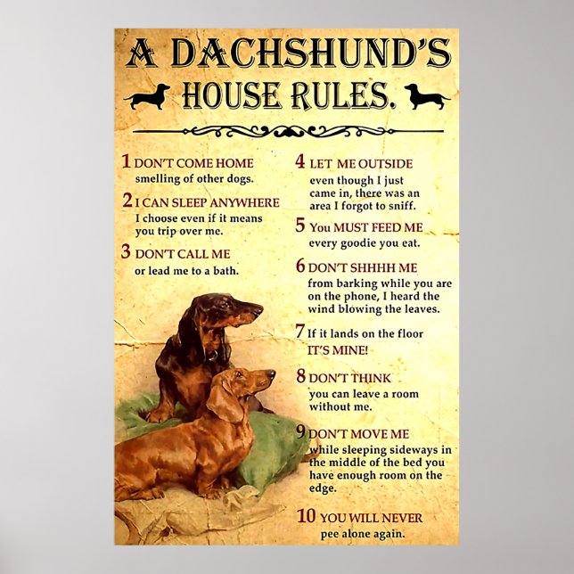 Dackel House Rules Poster Geschenk für Männer Frau (Vorne)