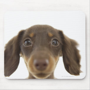 Dackel Hund (braun) 2 Mousepad
