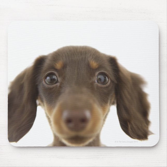 Dackel Hund (braun) 2 Mousepad (Vorne)