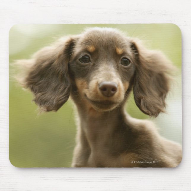 Dackel Hund (braun) Mousepad (Vorne)