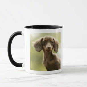 Dackel-Hund (Braun) Tasse