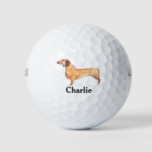 Dackel Hund Dackel Haustier Niedliche Dackel Golfball