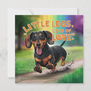 Dackel Hund Kleine Legen viel Liebe