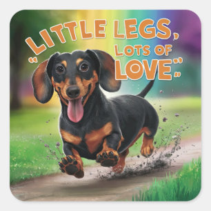 Dackel Hund Kleine Legen viel Liebe Quadratischer Aufkleber