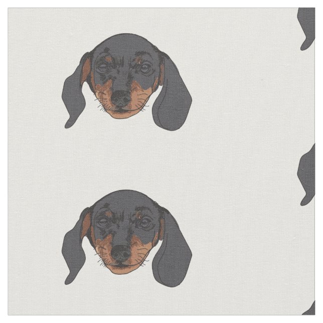 Dackel Hund Portrait Stoff (Nahaufnahme)