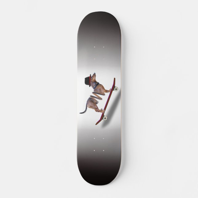 Dackel Hund Skateboarder Skateboard (Vorderseite)