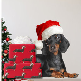 Dackel Hund Weihnachten Rote Weihnachtsmannmütze Geschenkpapier