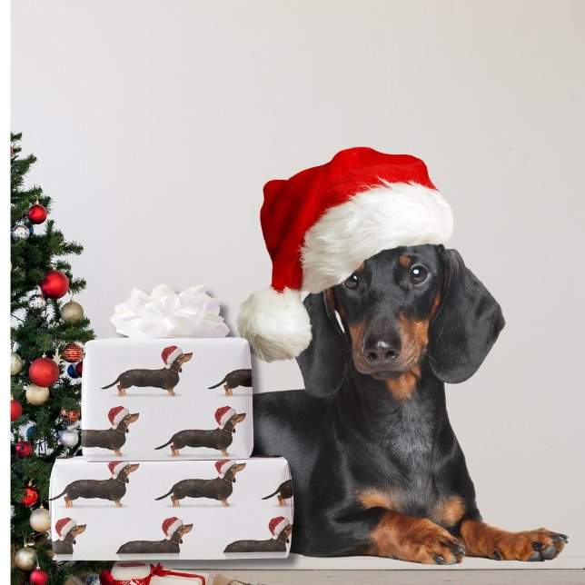Dackel Hund Weihnachts-Weihnachtsmannmütze Geschenkpapier (Von Creator hochgeladen)