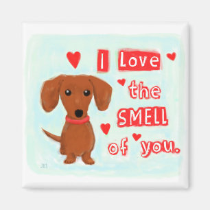 Dackel-HundeValentine der Dackel-Liebe-  lustiger Magnet