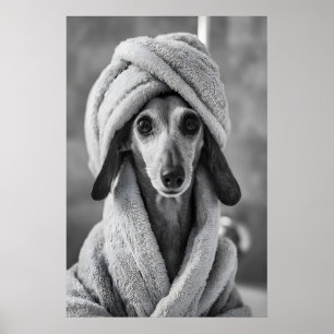 Dackel im Handtuchdruck, Lustige Hundebadzimmerwan Poster
