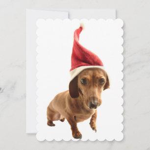 Dackel in der Weihnachtsmannmütze Feiertagskarte