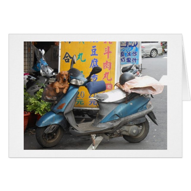 Dackel in Korbkarten (Vorderseite (Horizontal))