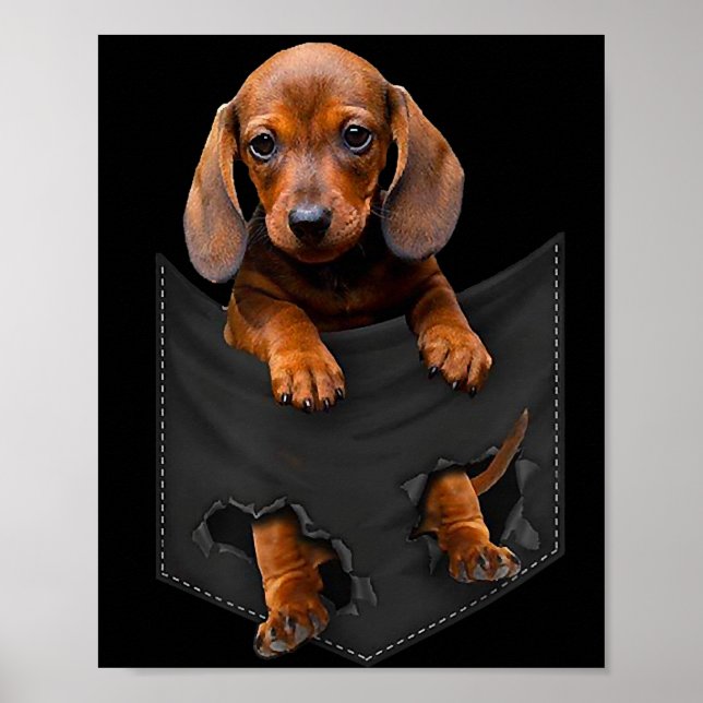 Dackel in meiner Pocket Dackel Weiner Dog Geschenk Poster (Vorne)