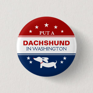 Dackel in Washington - Politischer Knopf Button