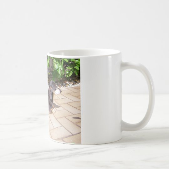 Dackel Kaffeetasse