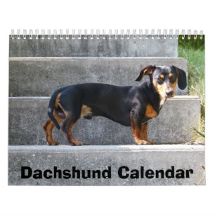 Dackel Kalender 2023 Fotos hinzufügen