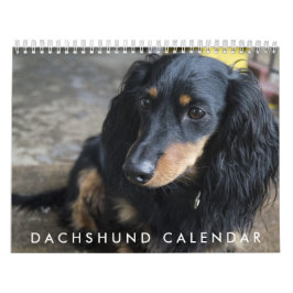 Dackel - Kalender 2026
