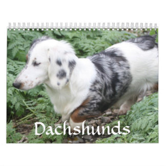 Dackel-Kalender Kalender