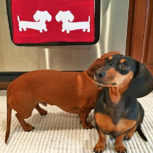 Dackel Küche Geschirr Handtuchwaffel