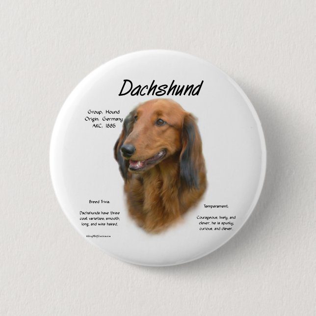 Dackel (Langhaar) Geschichtsdesign Button (Vorderseite)