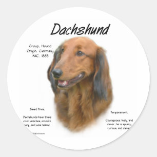 Dackel (Langhaar) Geschichtsdesign Runder Aufkleber