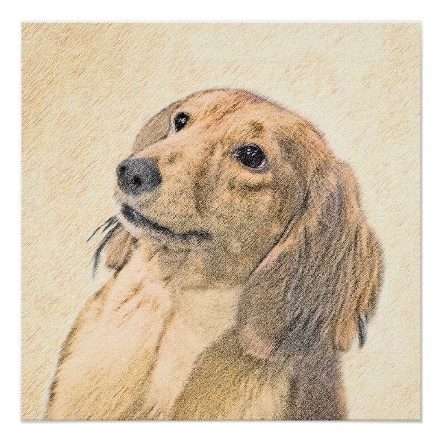 Dackel (langhaarige Malerei) - Originale Hundekuns Poster (Vorderseite)