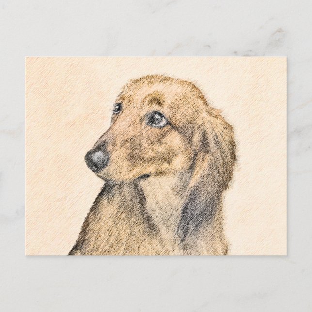 Dackel (langhaarige Malerei) - Originale Hundekuns Postkarte (Vorderseite)