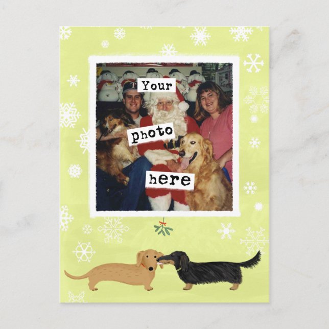 Dackel Mistletoe Dackel Hunde Fotovorlage Postkarte (Vorderseite)