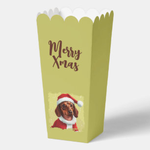 Dackel mit Ausstattung des Weihnachtsmanns - Weihn Geschenkschachtel
