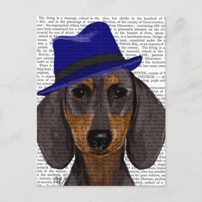 Dackel mit Blue Trilby Postkarte (Vorderseite)