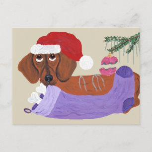 Dackel mit Weihnachts-Strumpf Feiertagspostkarte