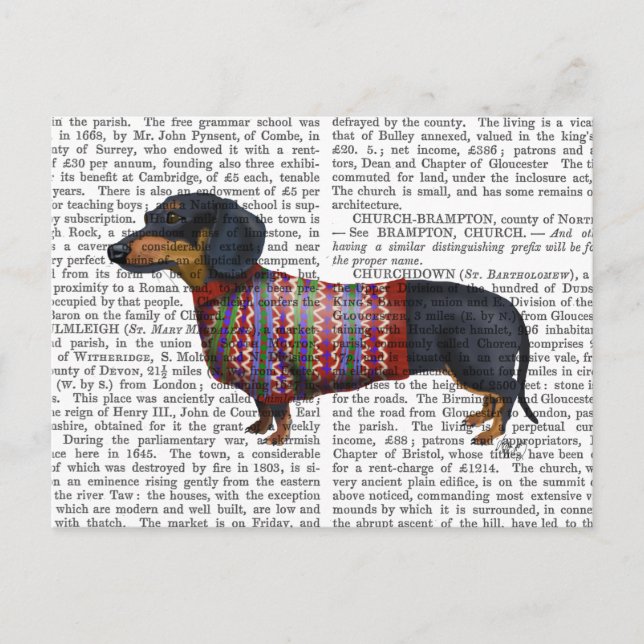 Dackel mit Wollpulli Postkarte (Vorderseite)
