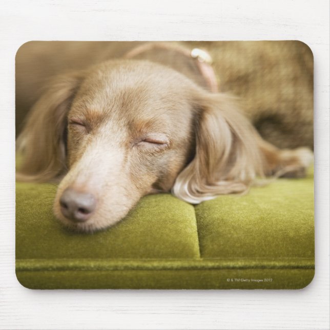 Dackel Mousepad (Vorne)